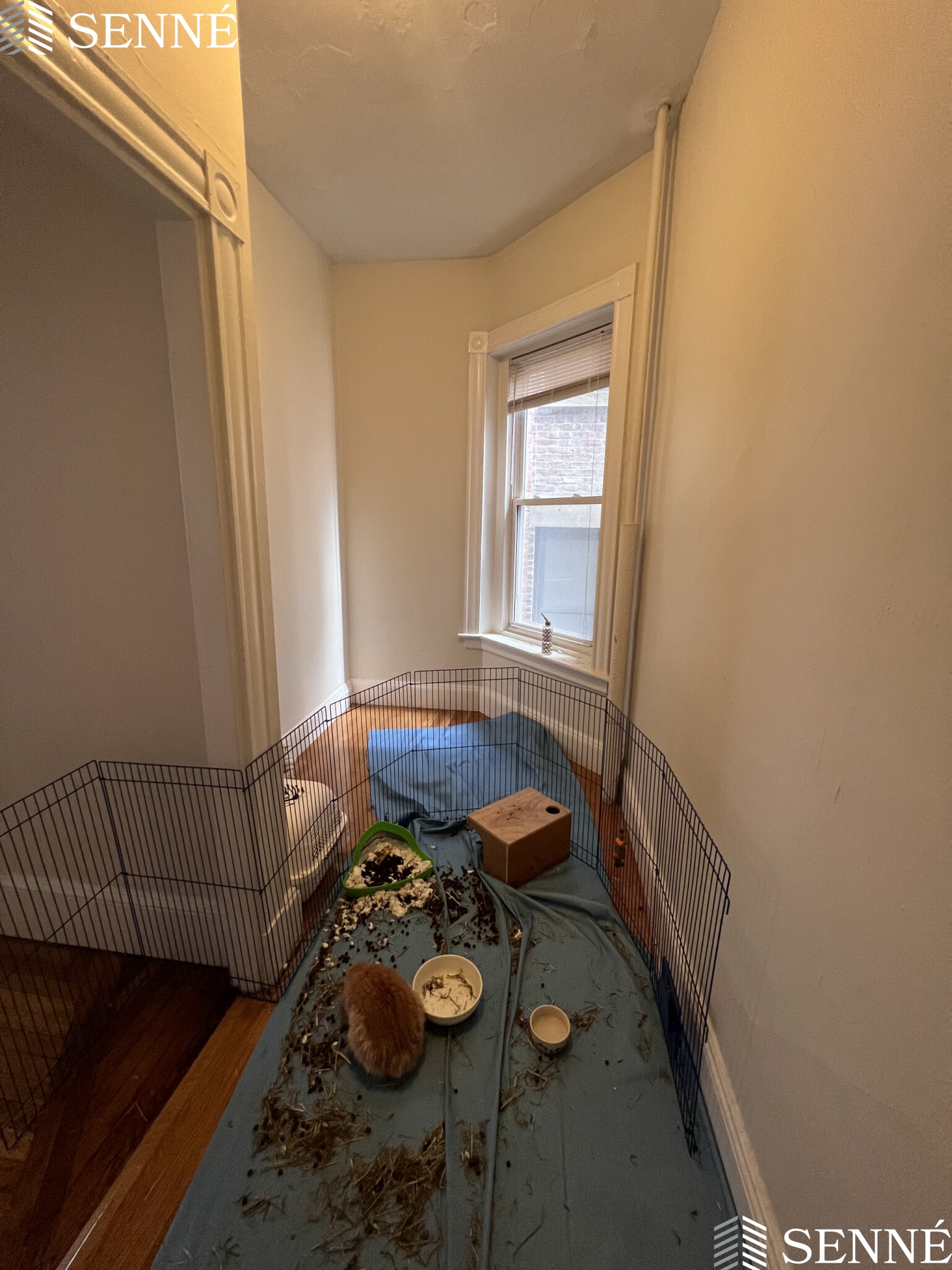 1.5 bed, 1 bath apartment for rent at 891 Massachusetts Ave Unit 15, Central Square — photo 4 of 8