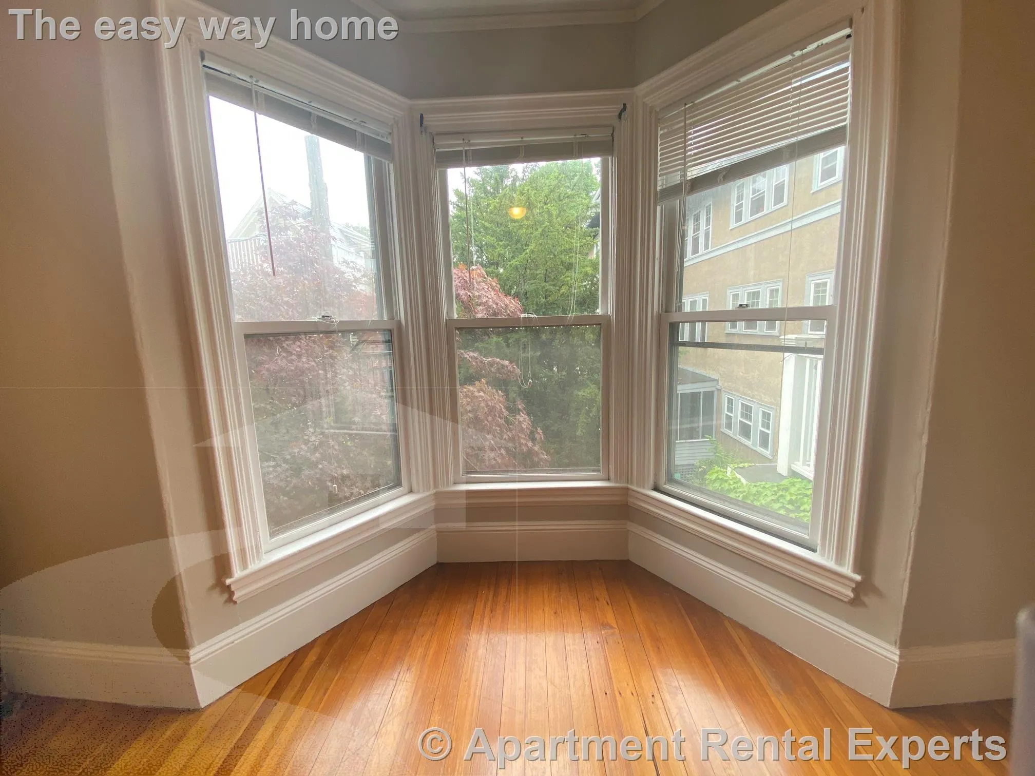 Studio bed, 1 bath apartment for rent at 8A Forest St Unit 2R, Porter Square — photo 6 of 13