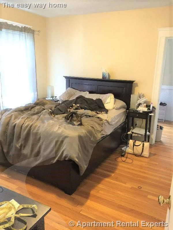 4 bed, 2 bath apartment for rent at 9 Arlington St Unit 3, Sullivan Square — photo 5 of 10