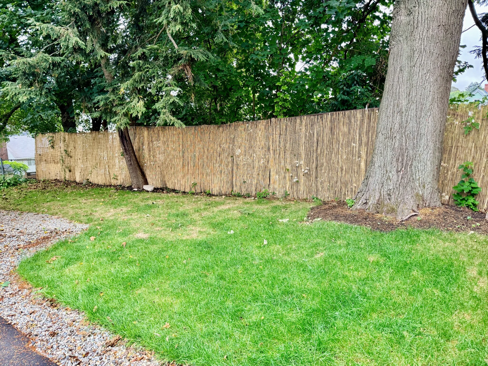 2 bed, 1 bath apartment for rent at 9 Beryl St Unit 1, Roslindale — photo 12 of 13