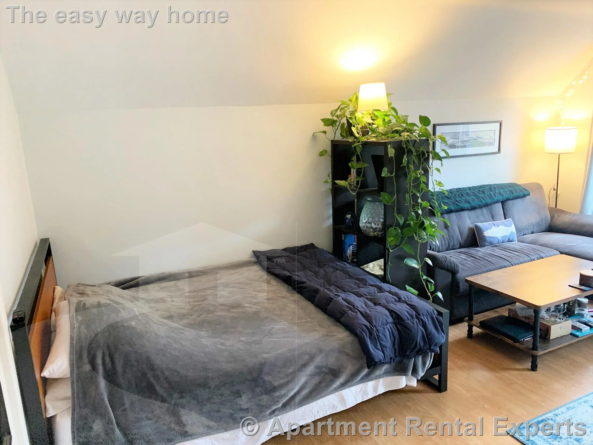 1 bed, 1 bath apartment for rent at 9 Bradford Ave Unit 3, Winter Hill — photo 8 of 13