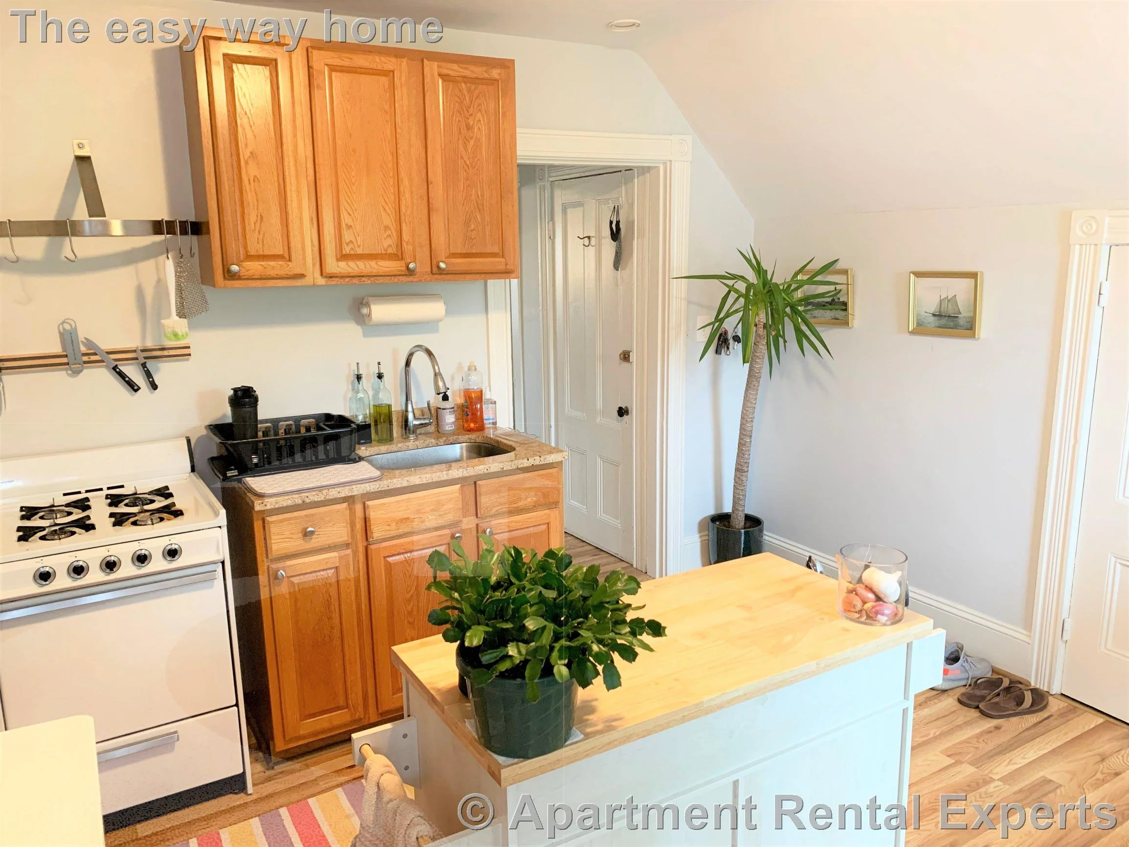 1 bed, 1 bath apartment for rent at 9 Bradford Ave Unit 3, Winter Hill — photo 1 of 13