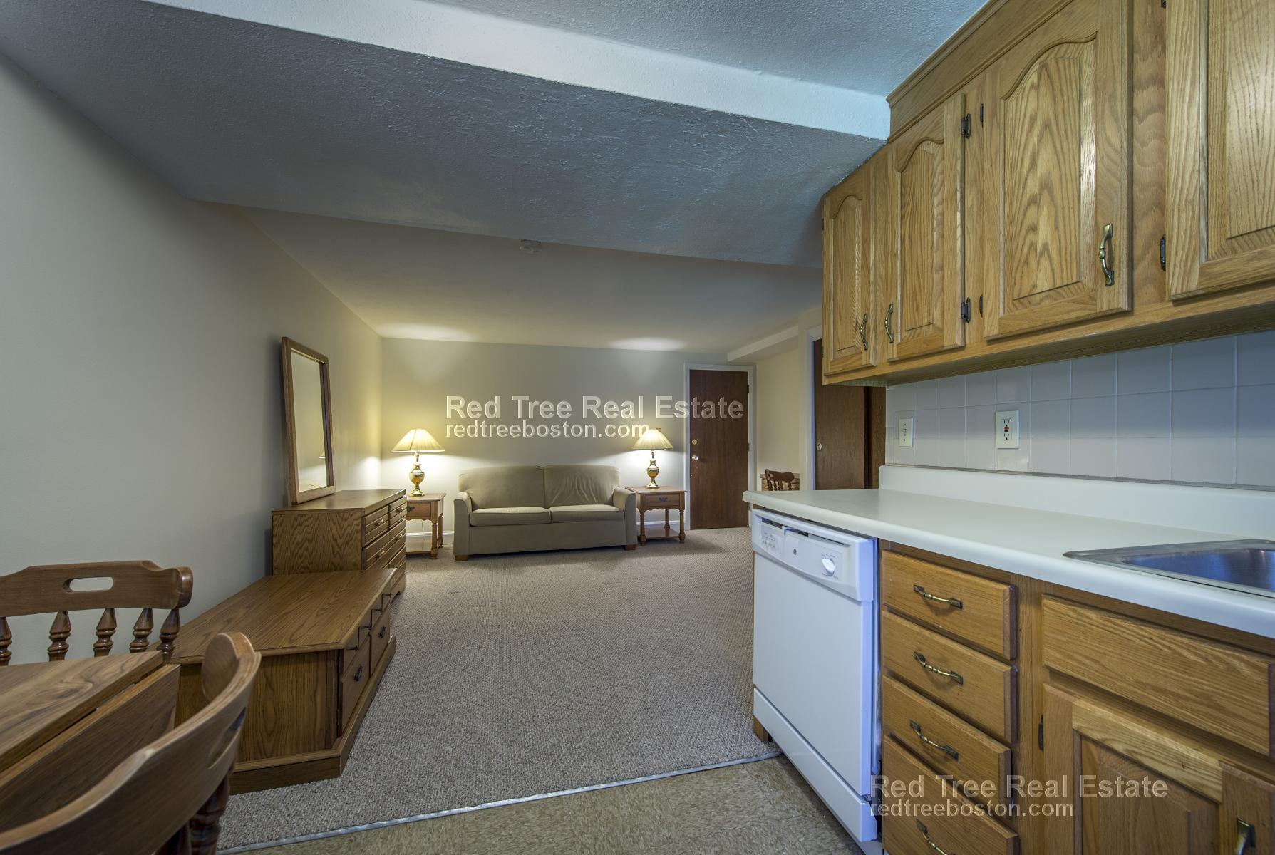 Studio bed, 1 bath apartment for rent at 9 Chester St Unit 28, North Cambridge