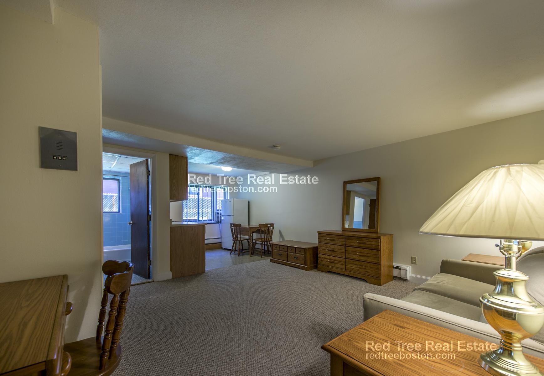 Studio bed, 1 bath apartment for rent at 9 Chester St Unit 28, North Cambridge — photo 3 of 8