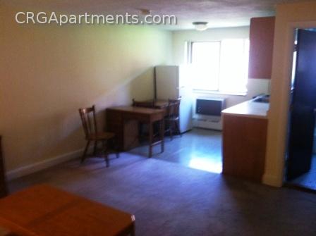 Studio bed, 1 bath apartment for rent at 9 Chester St Unit 33, North Cambridge — photo 7 of 19
