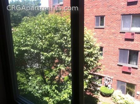 Studio bed, 1 bath apartment for rent at 9 Chester St Unit 33, North Cambridge — photo 19 of 19