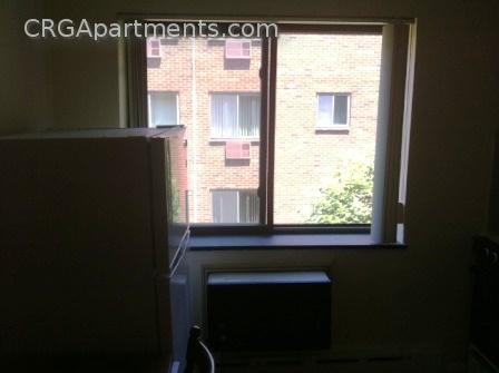 Studio bed, 1 bath apartment for rent at 9 Chester St Unit 33, North Cambridge — photo 10 of 19