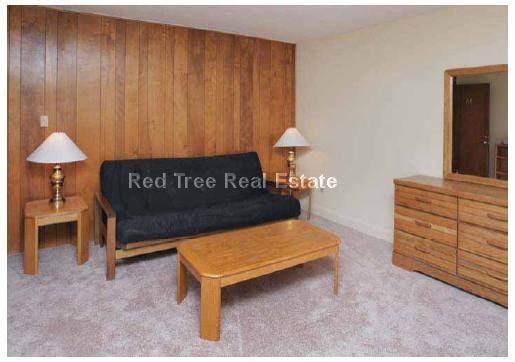 Studio bed, 1 bath apartment for rent at 9 Chester St Unit 38, North Cambridge — photo 2 of 6