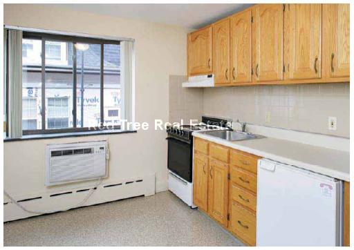 Studio bed, 1 bath apartment for rent at 9 Chester St Unit 38, North Cambridge
