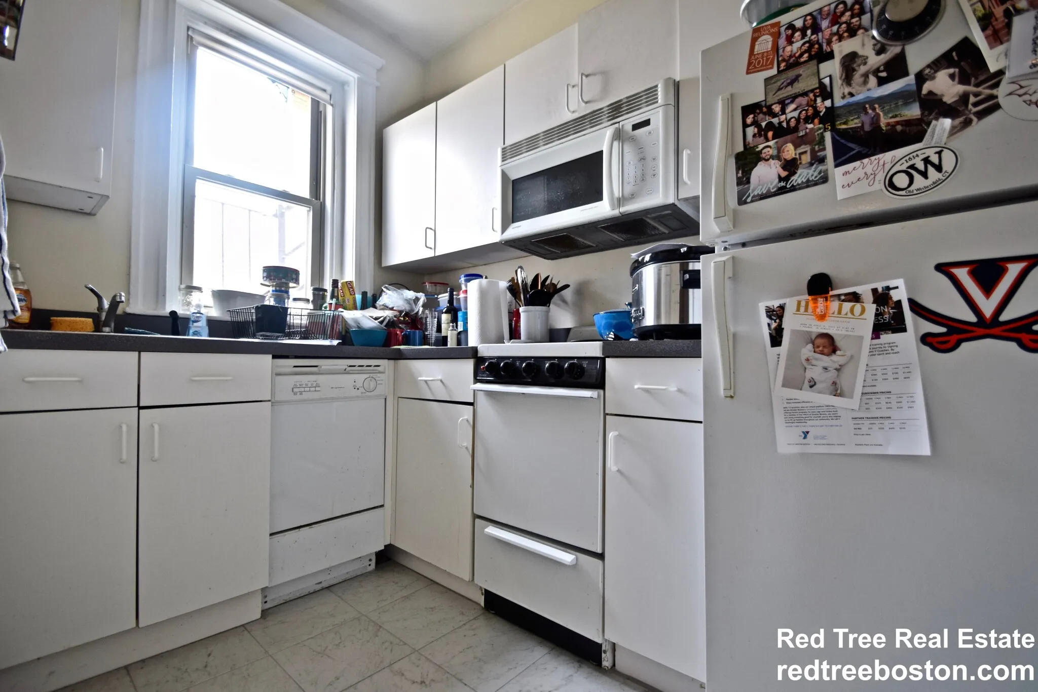 1 bed, 1 bath apartment for rent at 9 Colborne Rd Unit 12, Brighton — photo 4 of 9