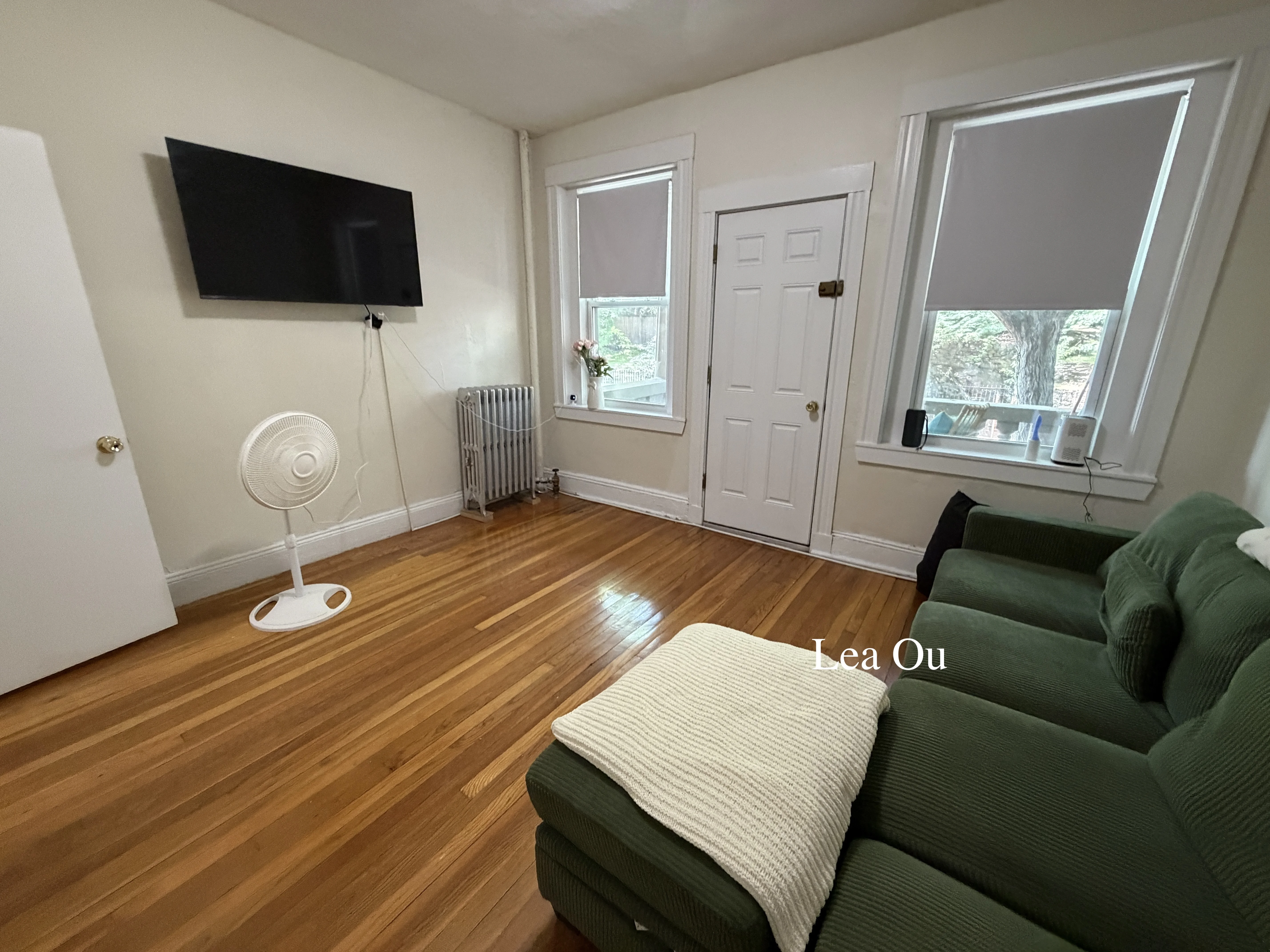 1 split bed, 1 bath apartment for rent at 9 Egremont Rd Unit 1A, Brighton — photo 2 of 9