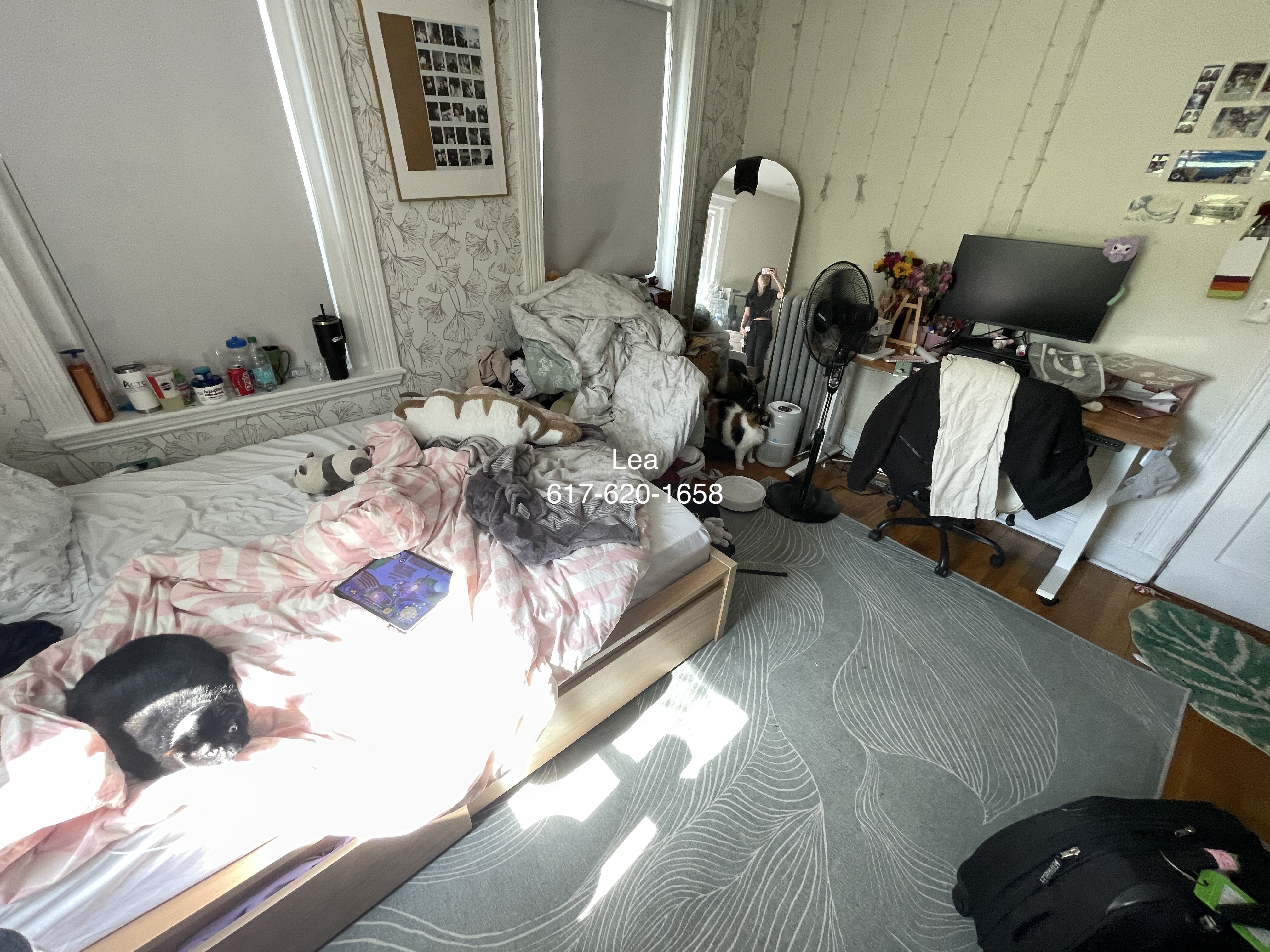 2 bed, 1 bath apartment for rent at 9 Egremont Rd Unit 8, Brighton — photo 7 of 13