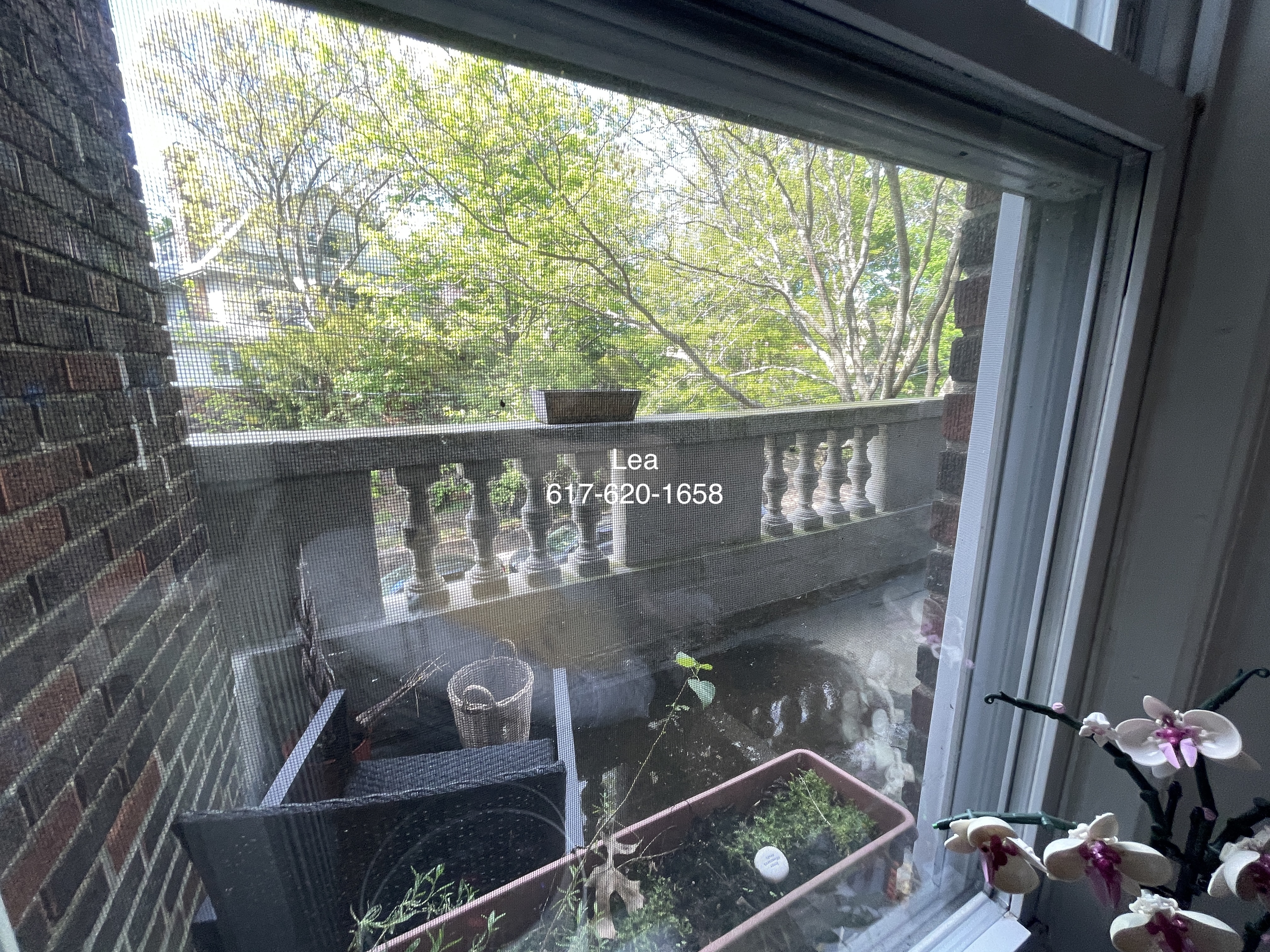 2 bed, 1 bath apartment for rent at 9 Egremont Rd Unit 8, Brighton — photo 4 of 13