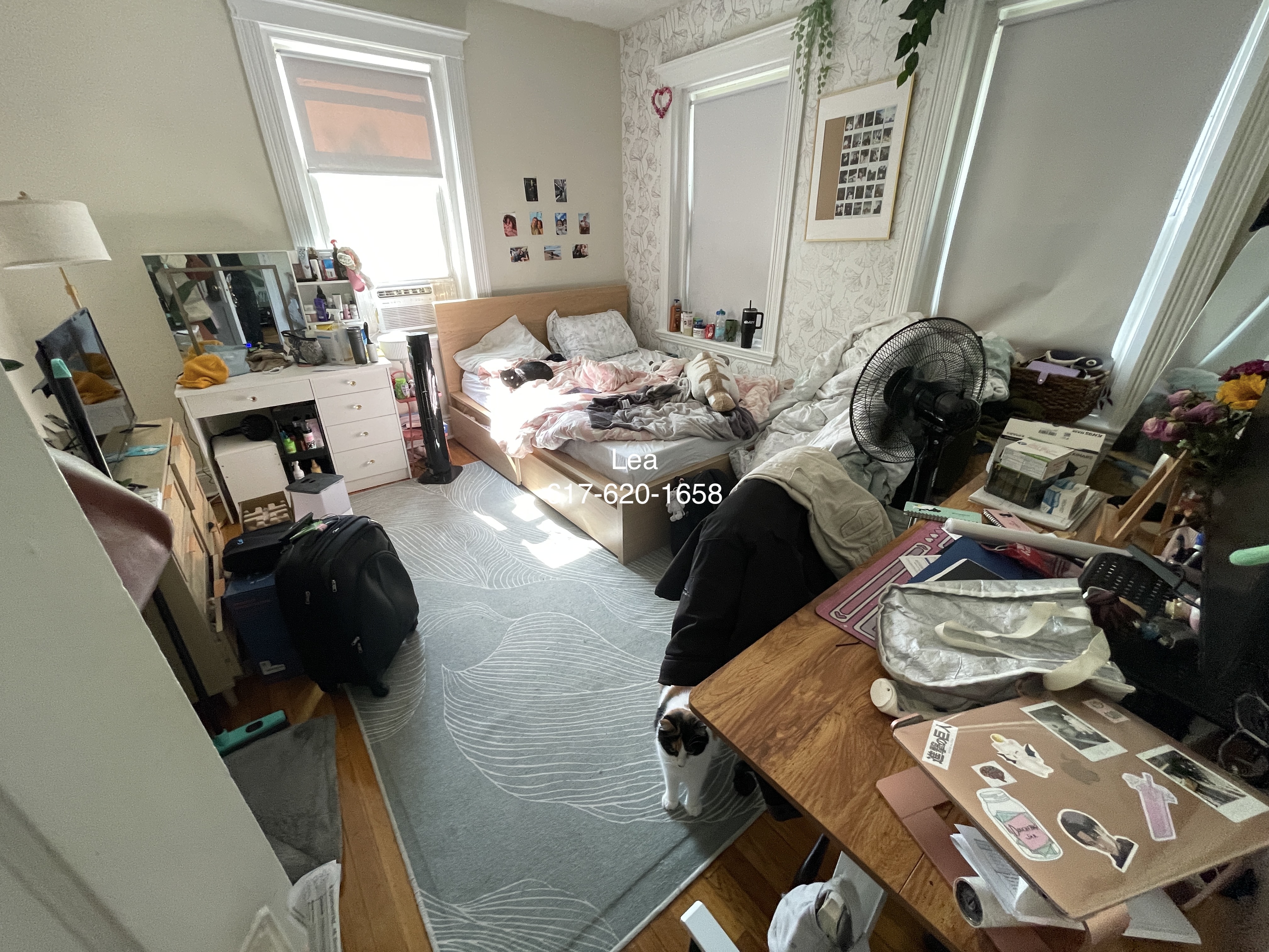 2 bed, 1 bath apartment for rent at 9 Egremont Rd Unit 8, Brighton — photo 6 of 13
