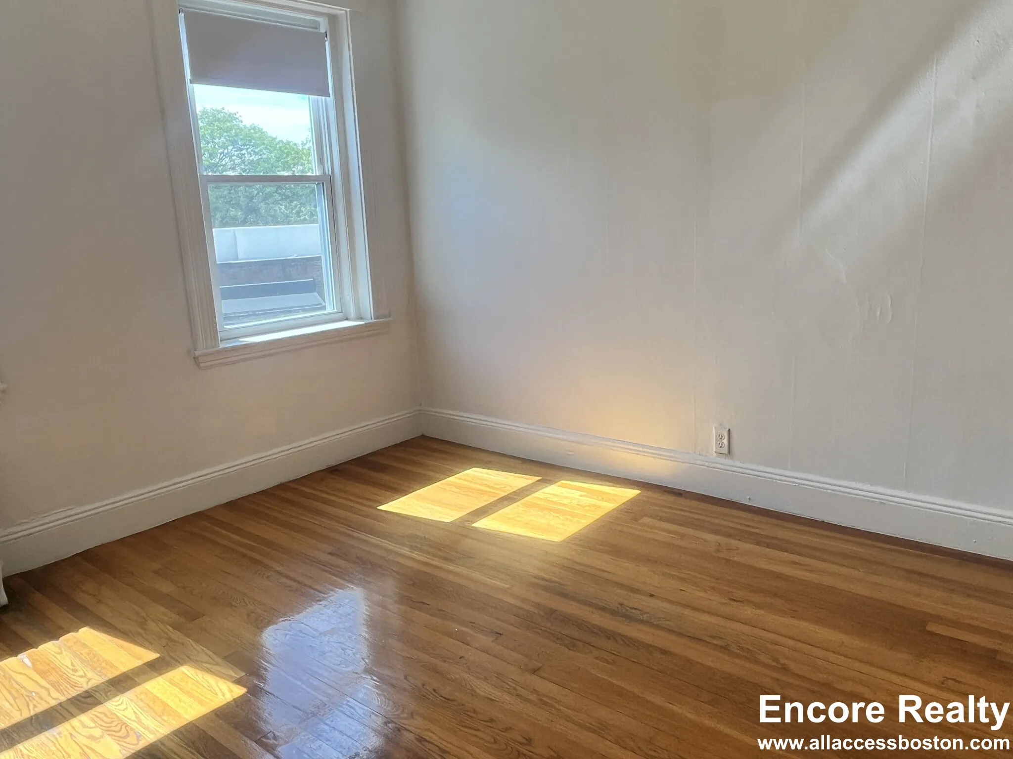 2 bed, 1 bath apartment for rent at 9 Egremont Rd Unit 9-10, Brighton — photo 4 of 21