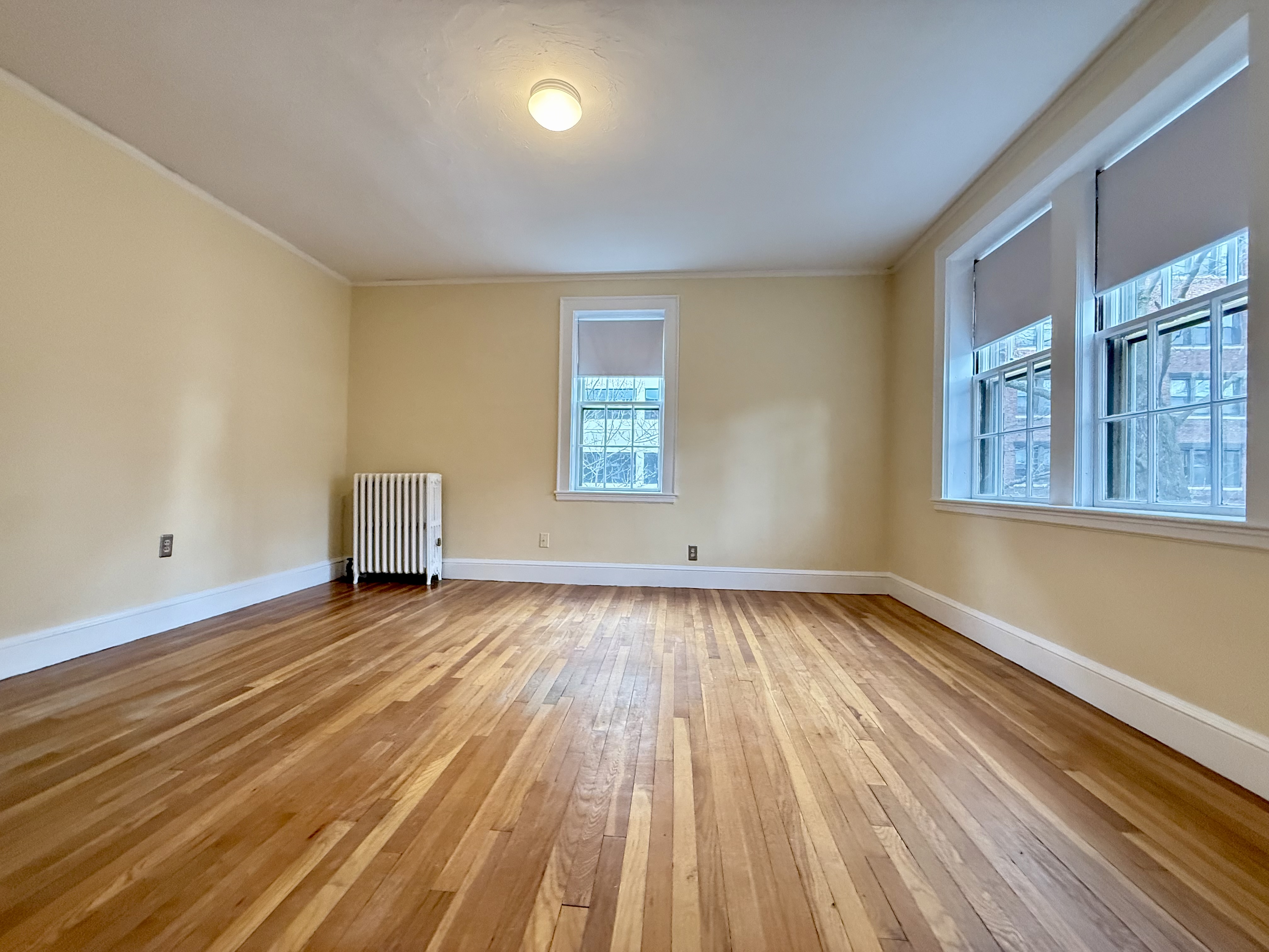 1 bed, 1 bath apartment for rent at 9 Ellery St Unit 23B, Mid-Cambridge — photo 4 of 12