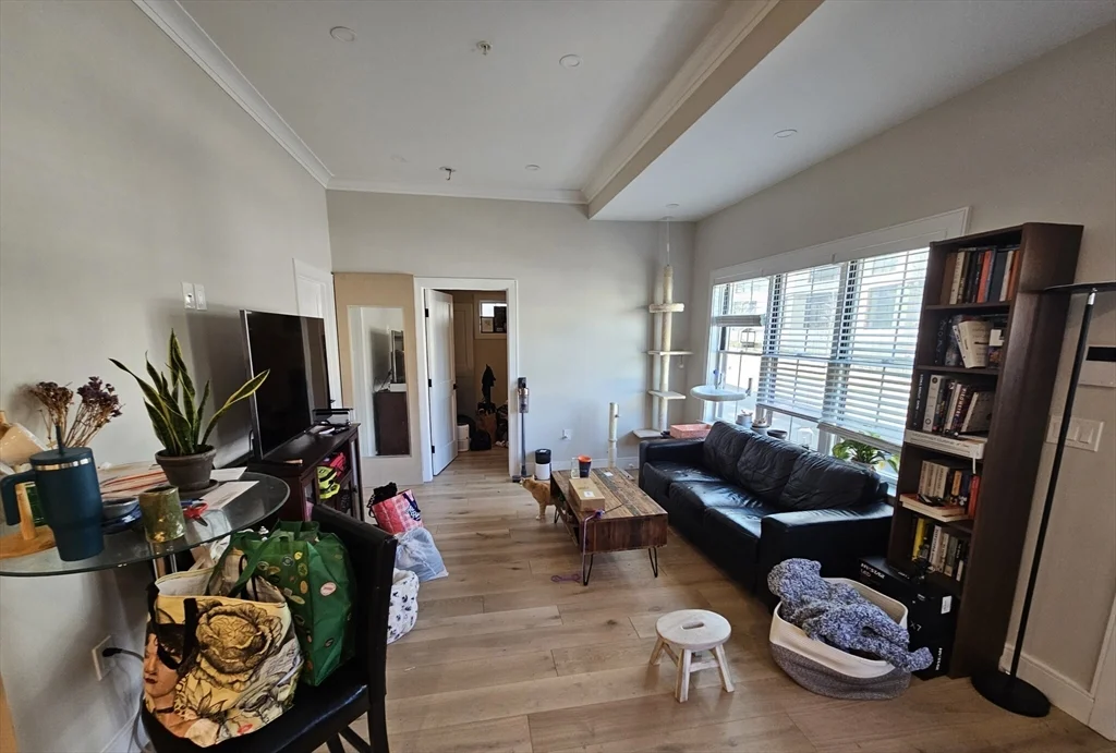2 bed, 2 bath apartment for rent at 9 Everett St Unit 5, Allston — photo 3 of 6