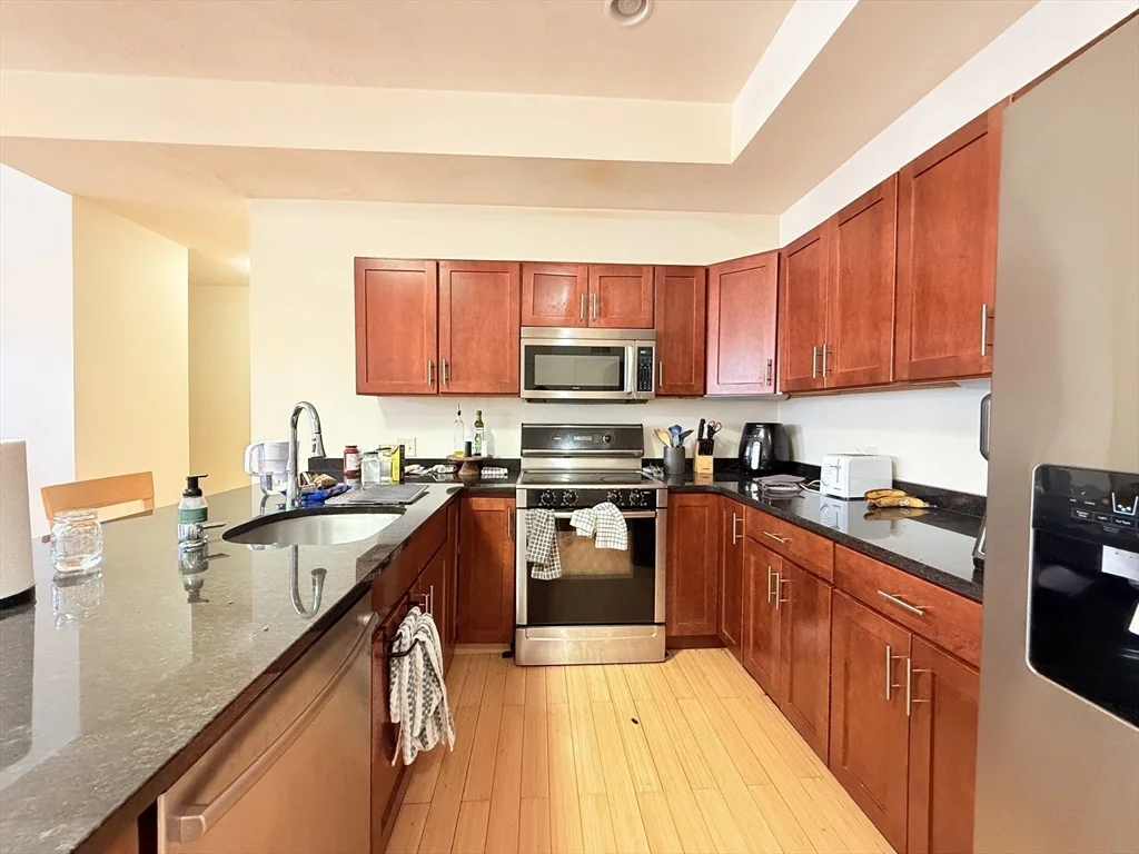 2 bed, 2 bath apartment for rent at 9 Gardner St Unit 14, Allston — photo 3 of 17