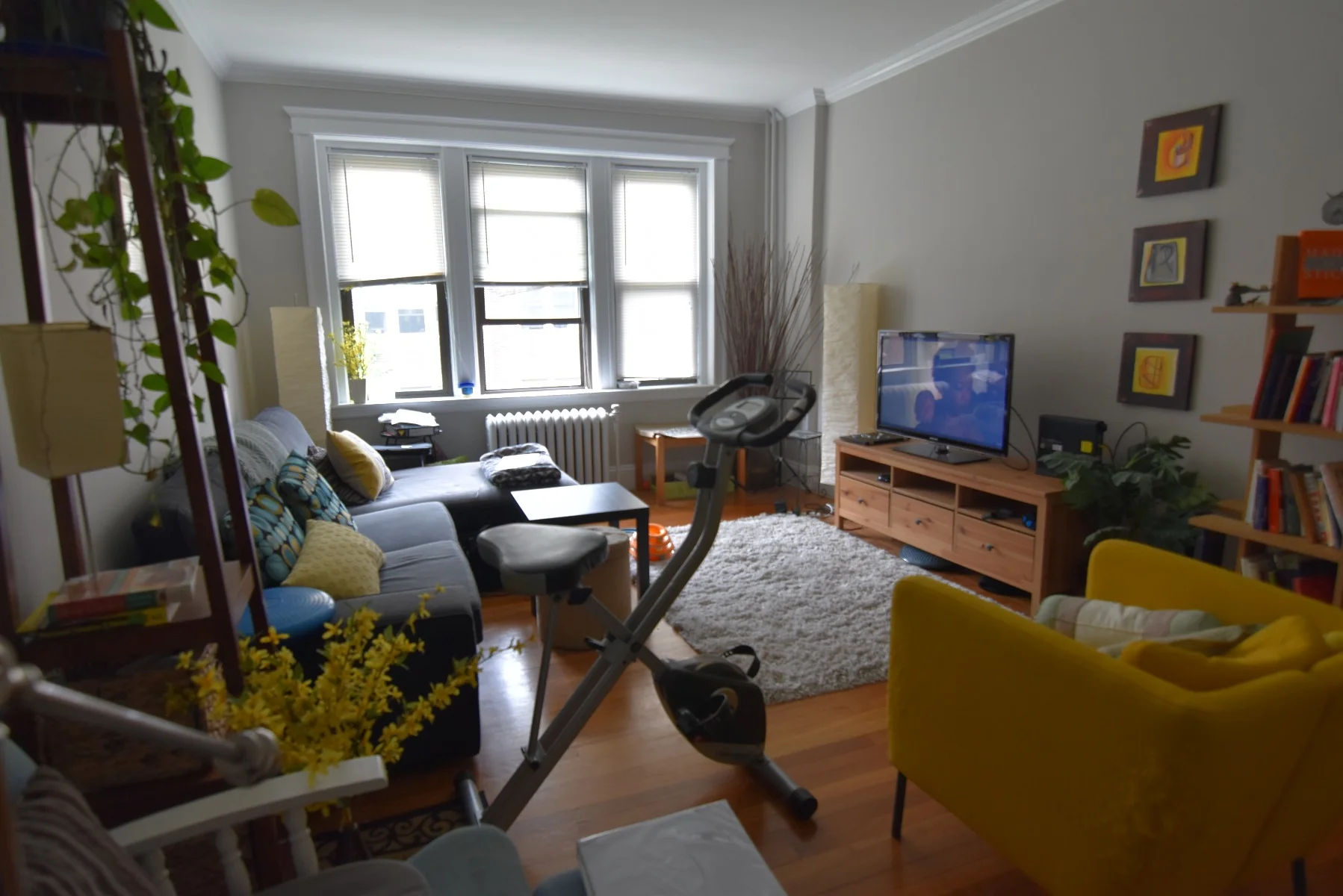3 bed, 1 bath apartment for rent at 9 Greenway Ct Unit 2, Coolidge Corner