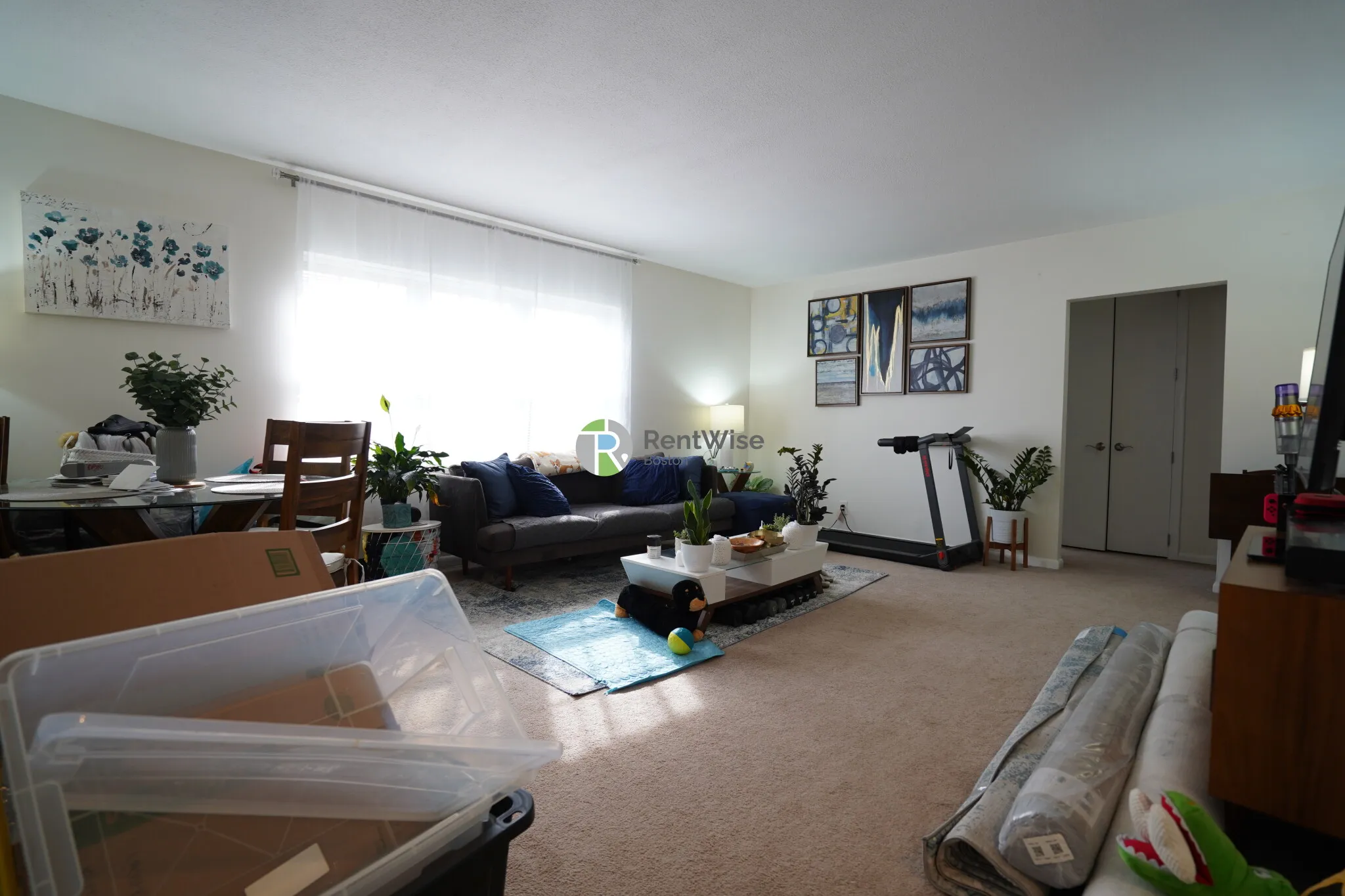 2 bed, 1 bath apartment for rent at 9 Lake St Unit 1, Brighton — photo 1 of 19
