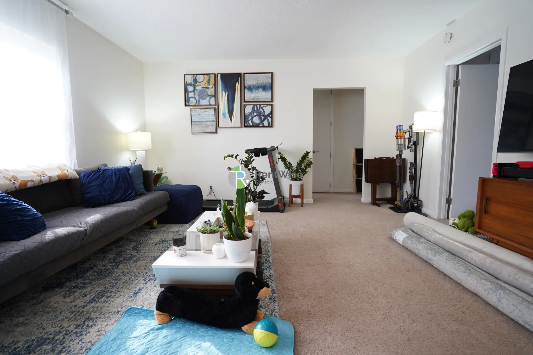 2 bed, 1 bath apartment for rent at 9 Lake St Unit 1, Brighton — photo 2 of 19