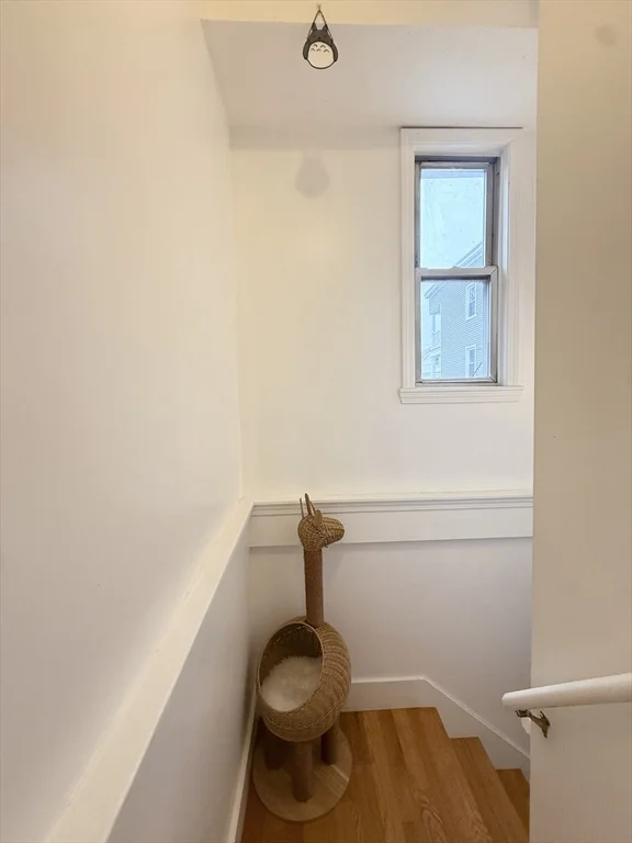 2 bed, 1 bath apartment for rent at 9 Marion St Unit 2R, Union Square — photo 13 of 15