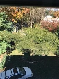 2 bed, 2 bath apartment for rent at 9 Neponset Circle Unit 2, Jamaica Plain — photo 17 of 30