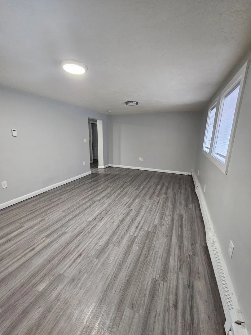 3 bed, 1 bath apartment for rent at 9 River Street Ter Unit 1B, Hyde Park — photo 3 of 14