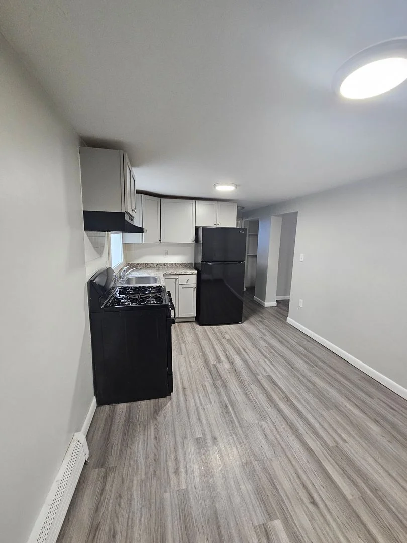 3 bed, 1 bath apartment for rent at 9 River Street Ter Unit 1B, Hyde Park — photo 4 of 14