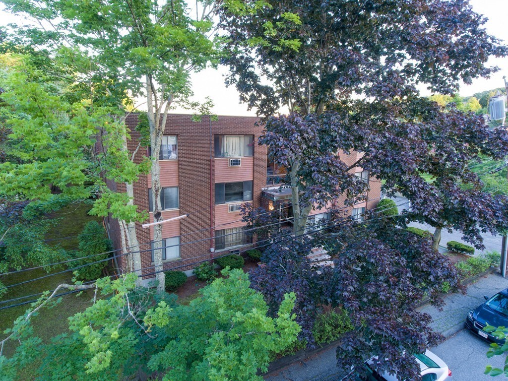 1 bed, 1 bath apartment for rent at 9 Ryder St Unit 19, Arlington — photo 7 of 17