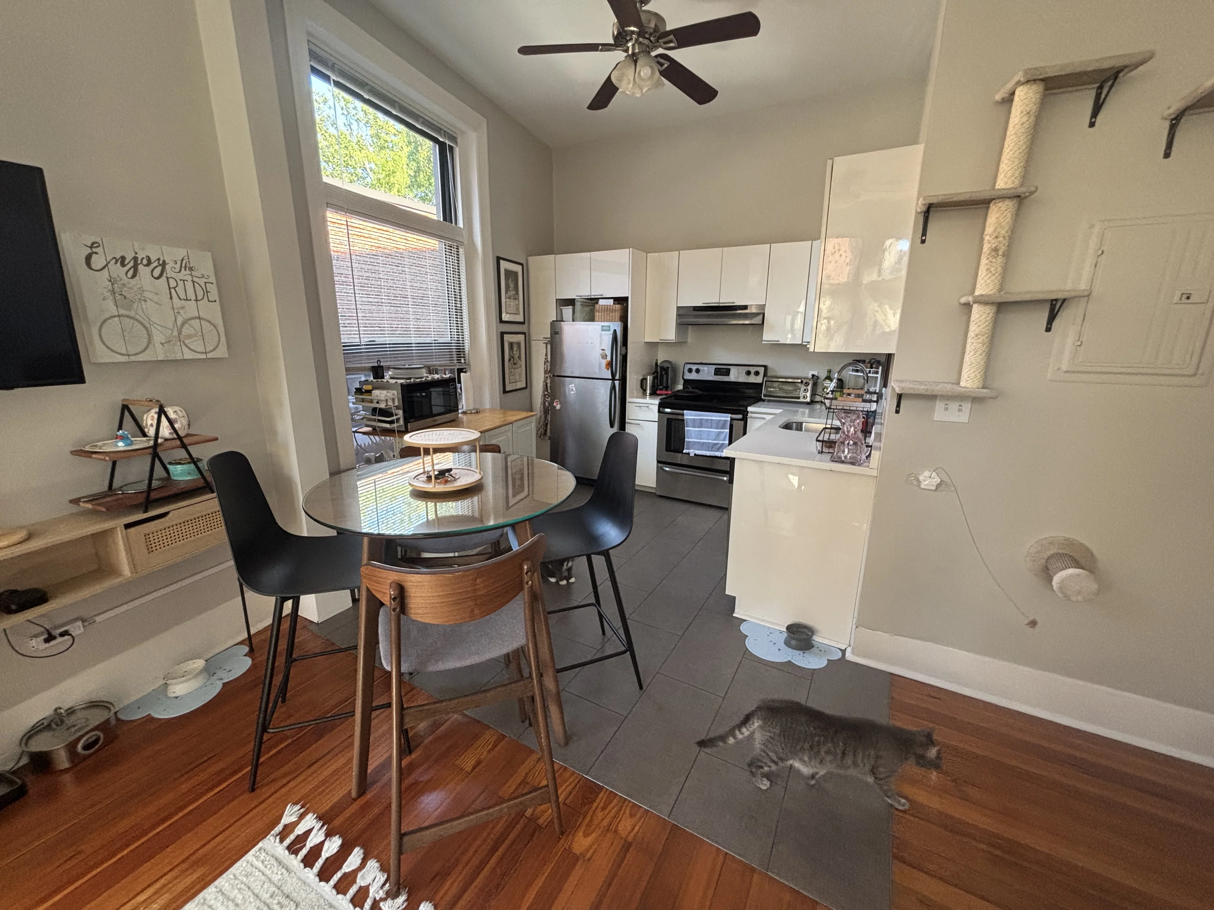 1 bed, 1 bath apartment for rent at 9 Sewall Ave Unit 14, Coolidge Corner — photo 4 of 27
