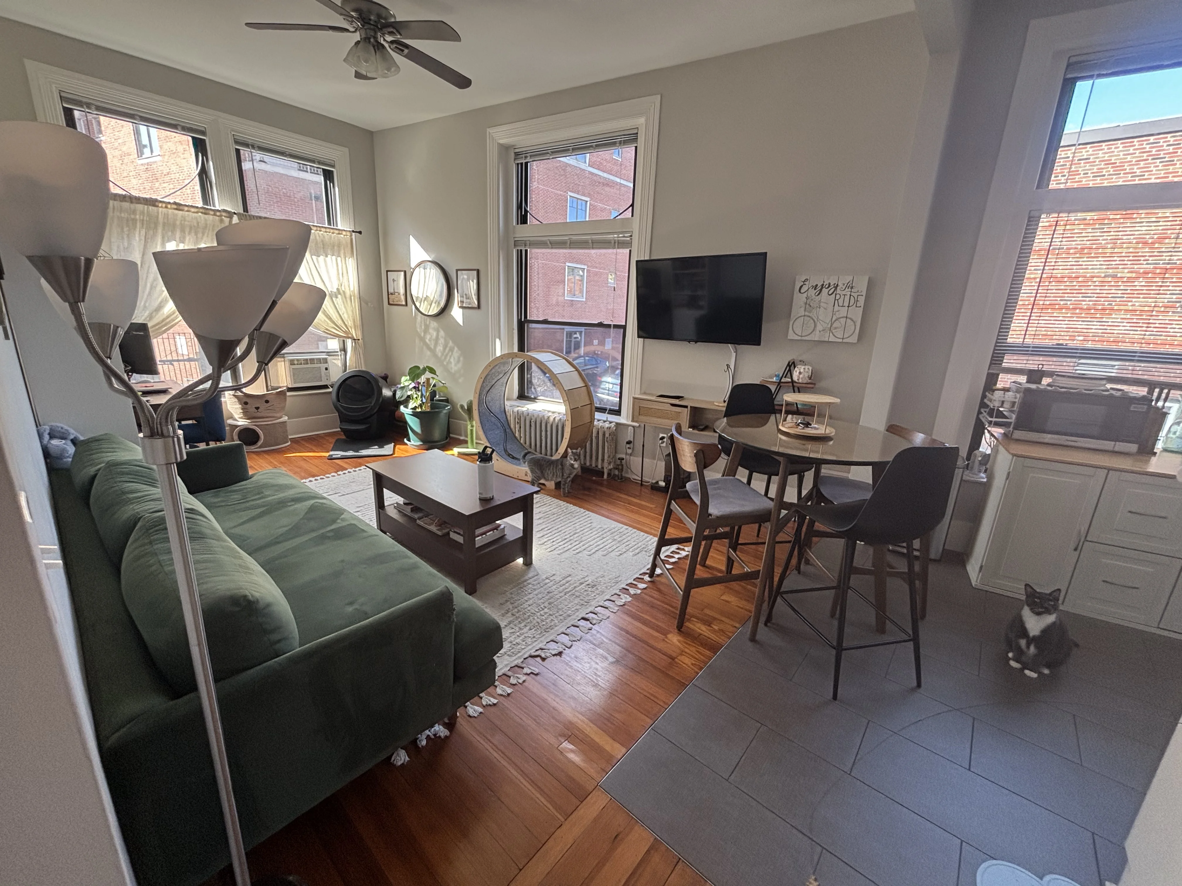 1 bed, 1 bath apartment for rent at 9 Sewall Ave Unit 14, Coolidge Corner — photo 8 of 27