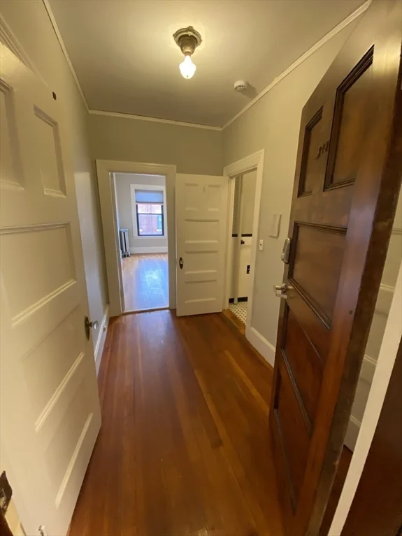 Studio bed, 1 bath apartment for rent at 9 Sewall Ave Unit 312, Coolidge Corner — photo 2 of 10