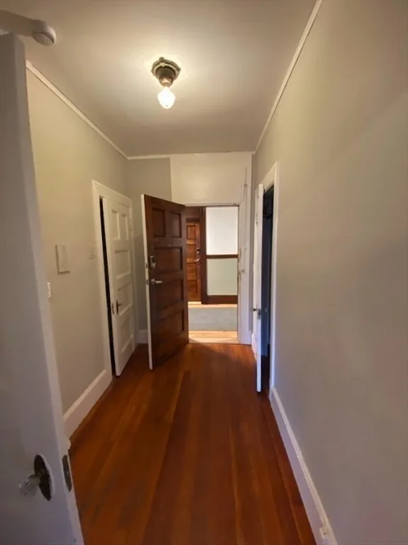 Studio bed, 1 bath apartment for rent at 9 Sewall Ave Unit 312, Coolidge Corner — photo 6 of 9