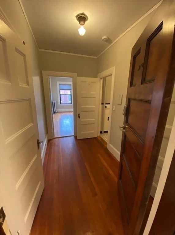 Studio bed, 1 bath apartment for rent at 9 Sewall Ave Unit 312, Coolidge Corner — photo 4 of 9