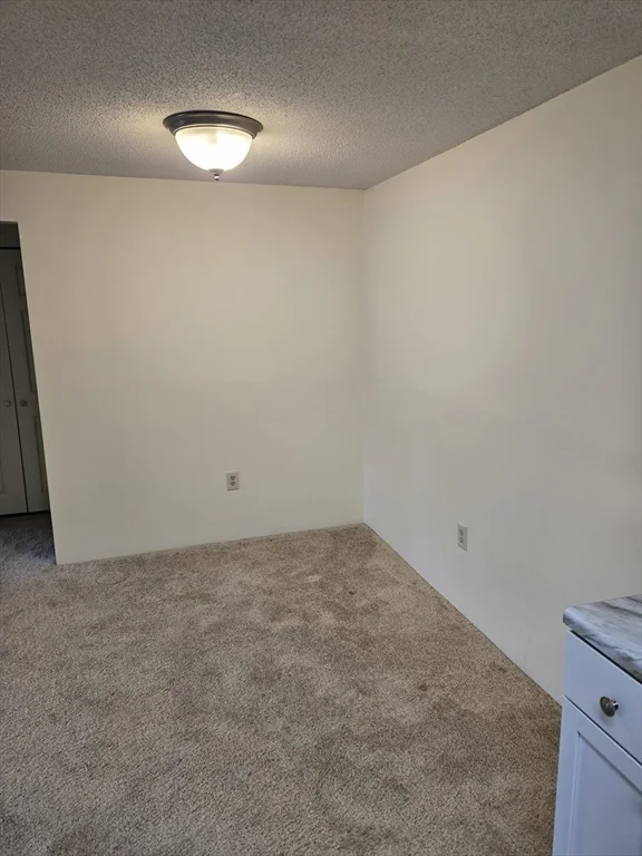 1 bed, 1 bath apartment for rent at 9 Silver Hill Unit 21, Natick — photo 5 of 22