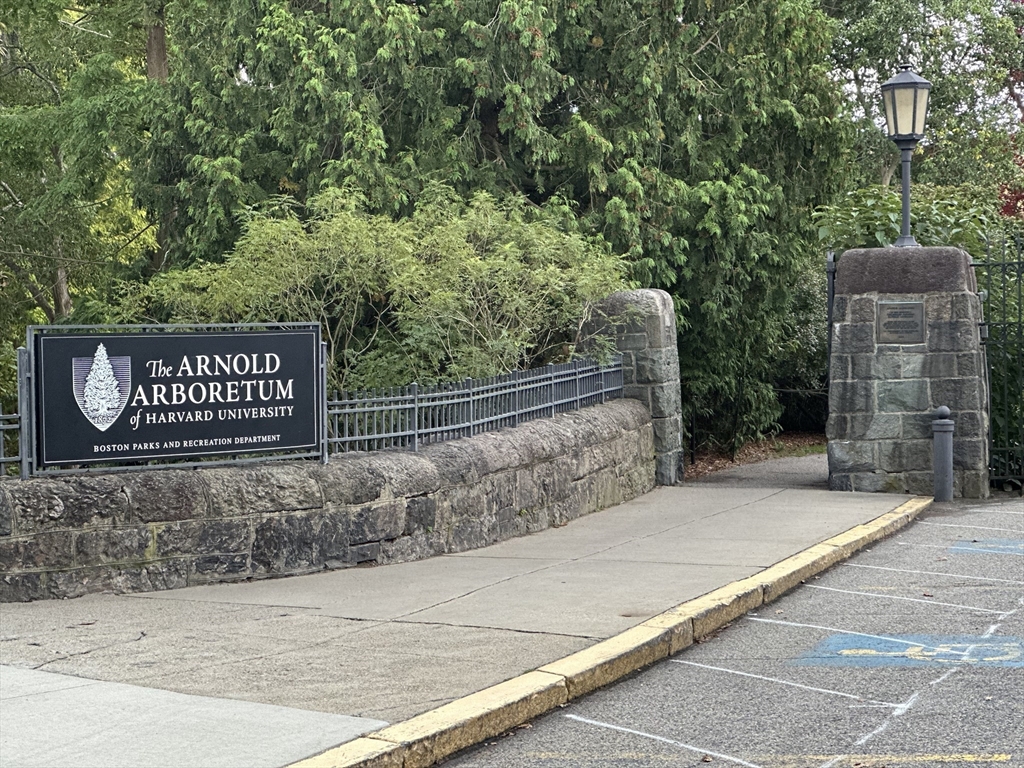 2 bed, 1 bath apartment for rent at 9 South St Unit 2, Jamaica Plain — photo 11 of 14