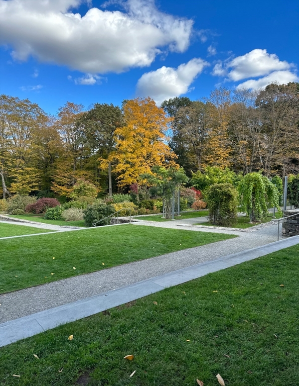 2 bed, 1 bath apartment for rent at 9 South St Unit 2, Jamaica Plain — photo 12 of 14