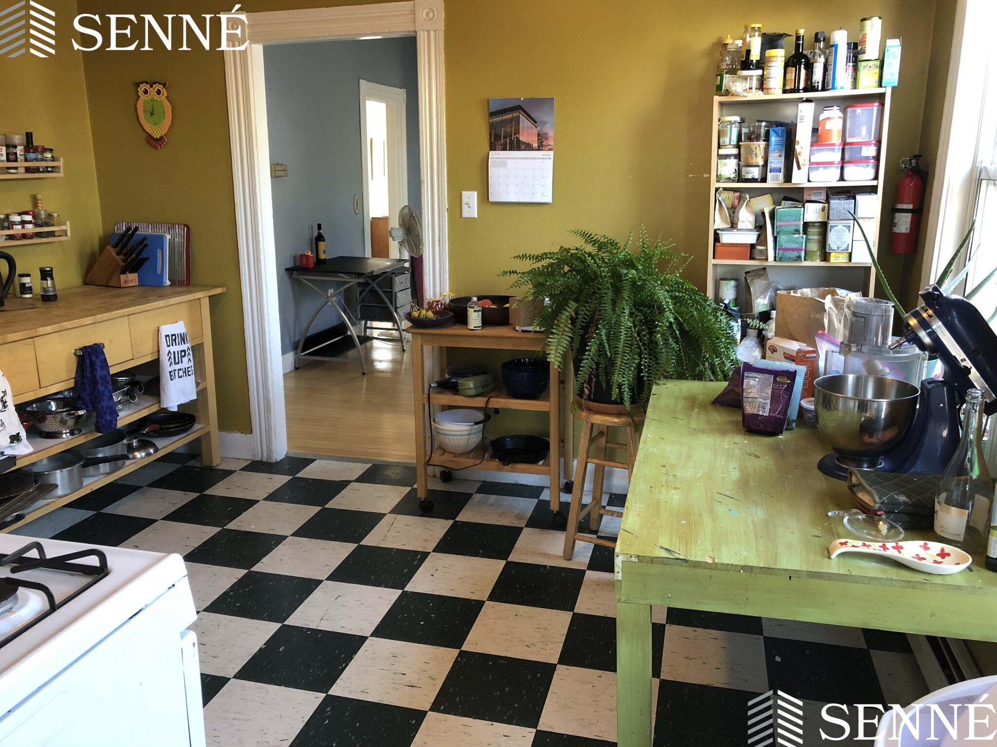 3 bed, 1 bath apartment for rent at 9 Thorndike St Unit 2, Davis Square — photo 5 of 14