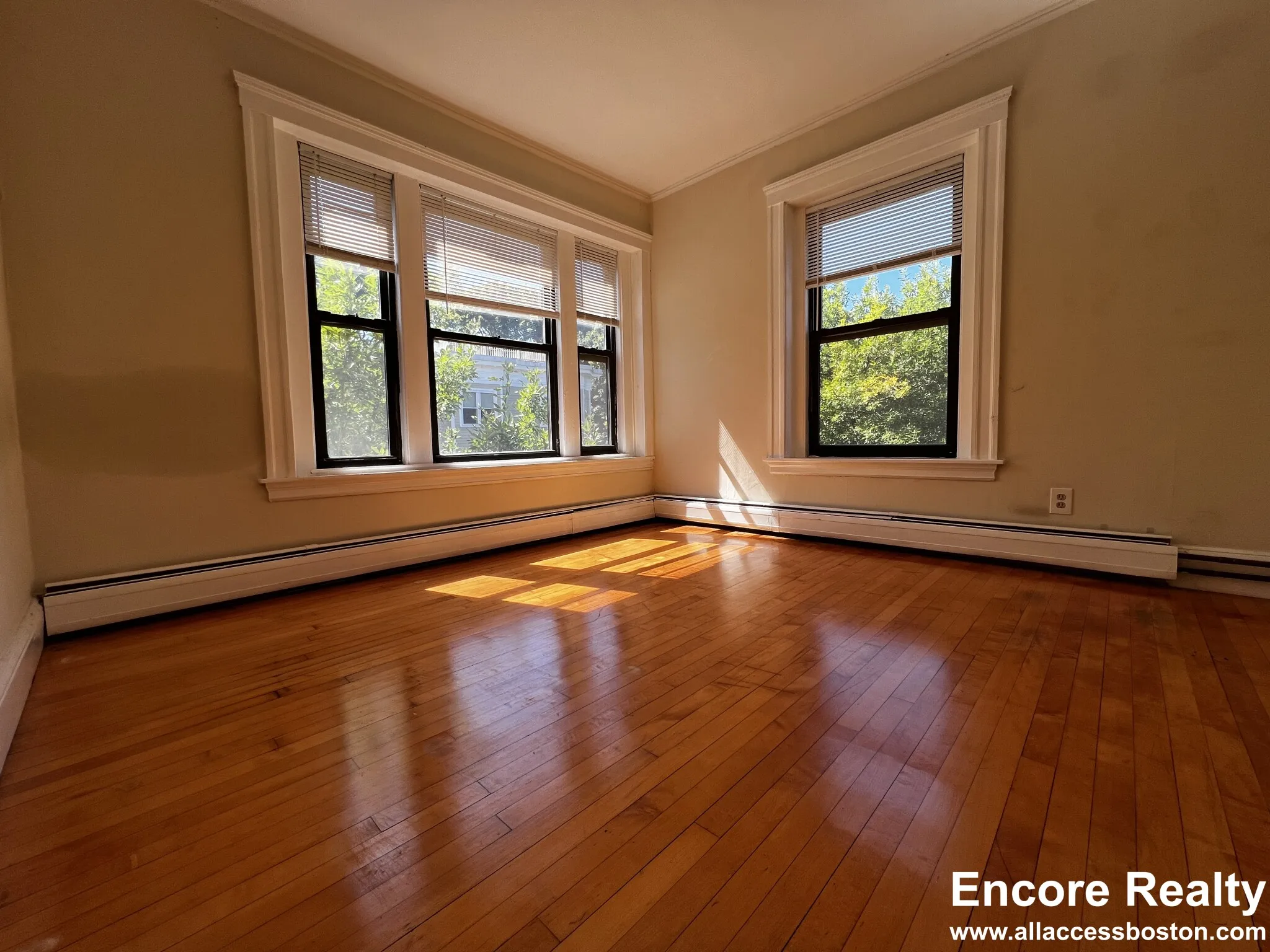 3.5 bed, 1 bath apartment for rent at 9 Upland Rd Unit 5, Neighborhood Nine — photo 3 of 13