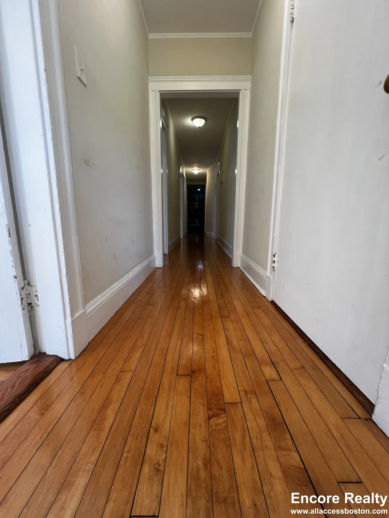 3.5 bed, 1 bath apartment for rent at 9 Upland Rd Unit 5, Neighborhood Nine — photo 11 of 13