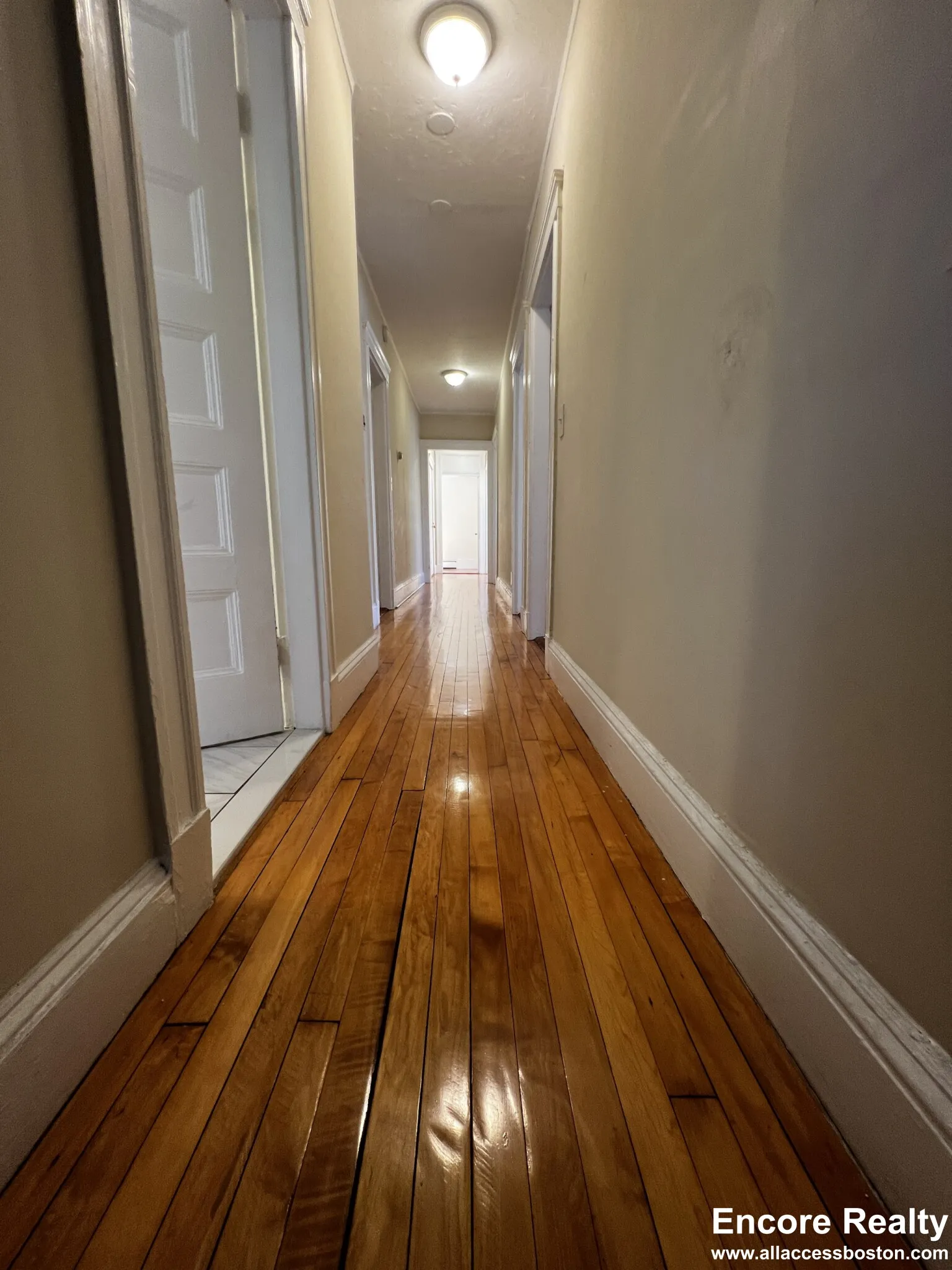 3.5 bed, 1 bath apartment for rent at 9 Upland Rd Unit 5, Neighborhood Nine — photo 9 of 13