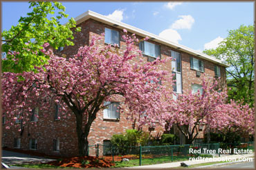 1 bed, 1 bath apartment for rent at 90 Gardner St Unit 30, Allston — photo 14 of 14