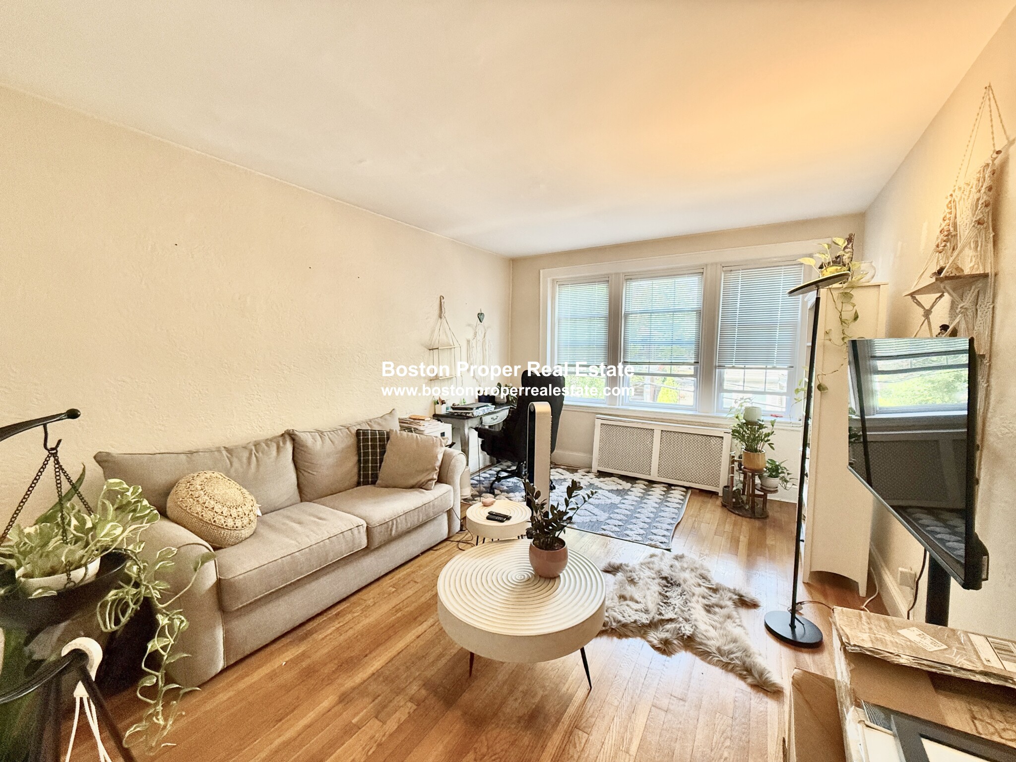 1 bed, 1 bath apartment for rent at 90 Kilsyth Rd Unit 22, Brighton — photo 1 of 17