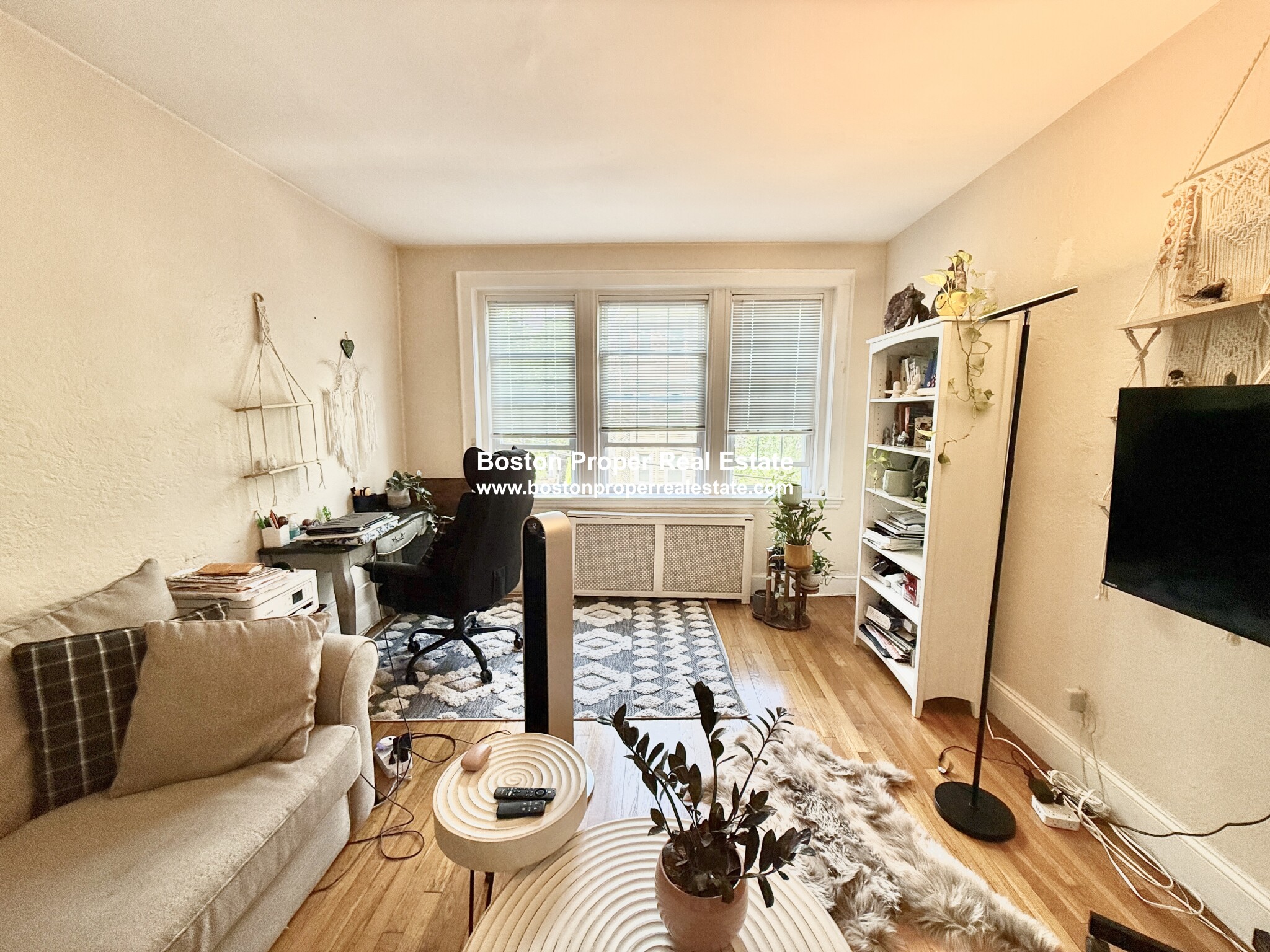 1 bed, 1 bath apartment for rent at 90 Kilsyth Rd Unit 22, Brighton — photo 3 of 17