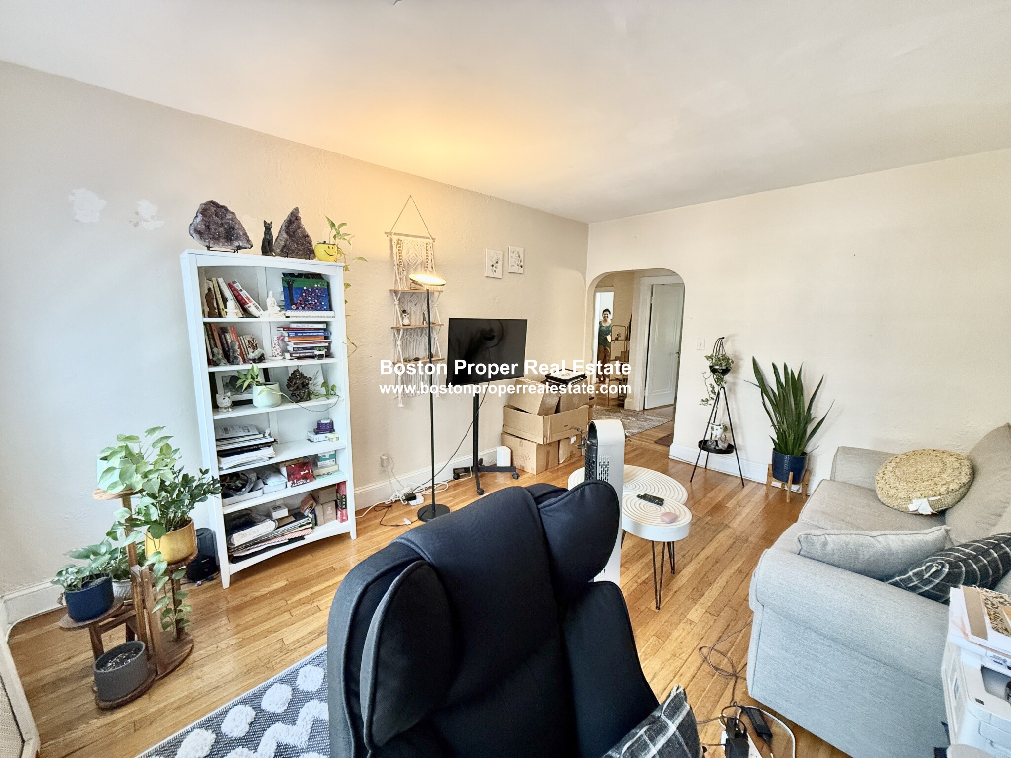 1 bed, 1 bath apartment for rent at 90 Kilsyth Rd Unit 22, Brighton — photo 5 of 17