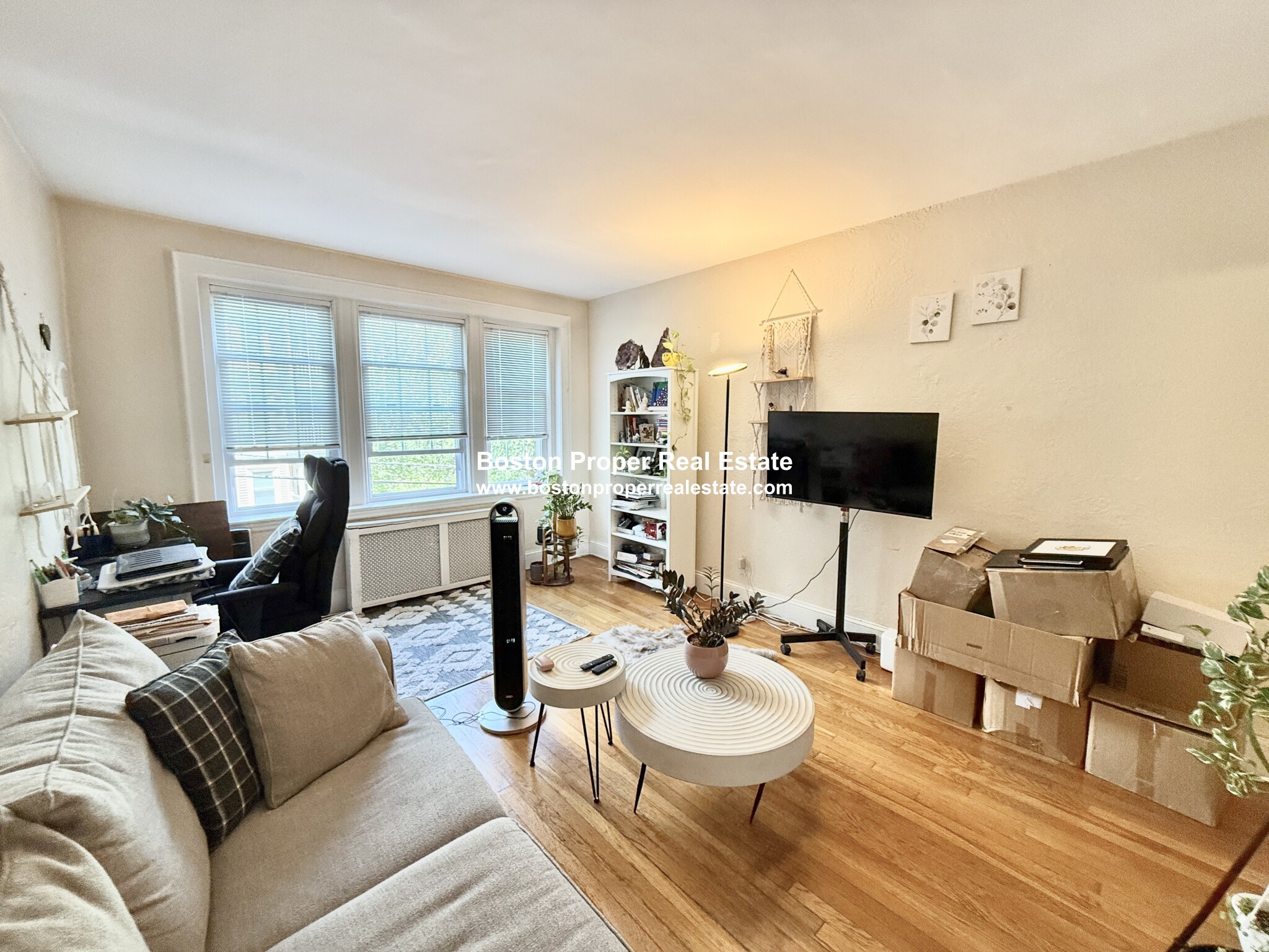 1 bed, 1 bath apartment for rent at 90 Kilsyth Rd Unit 22, Brighton — photo 6 of 17