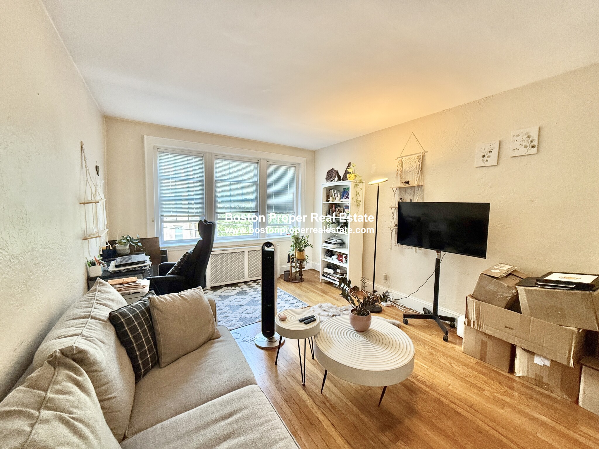 1 bed, 1 bath apartment for rent at 90 Kilsyth Rd Unit 22, Brighton — photo 2 of 17