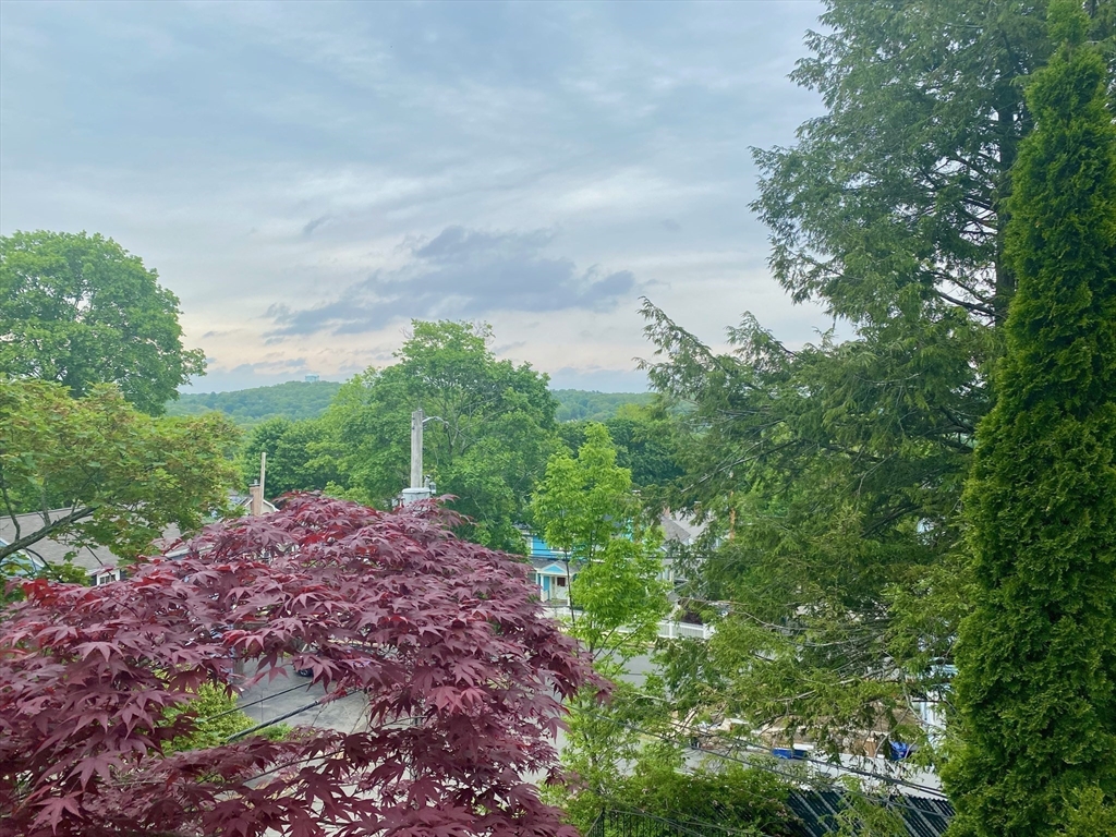 2 bed, 1 bath apartment for rent at 90 Robbins Rd Unit 2, Arlington Heights — photo 21 of 30