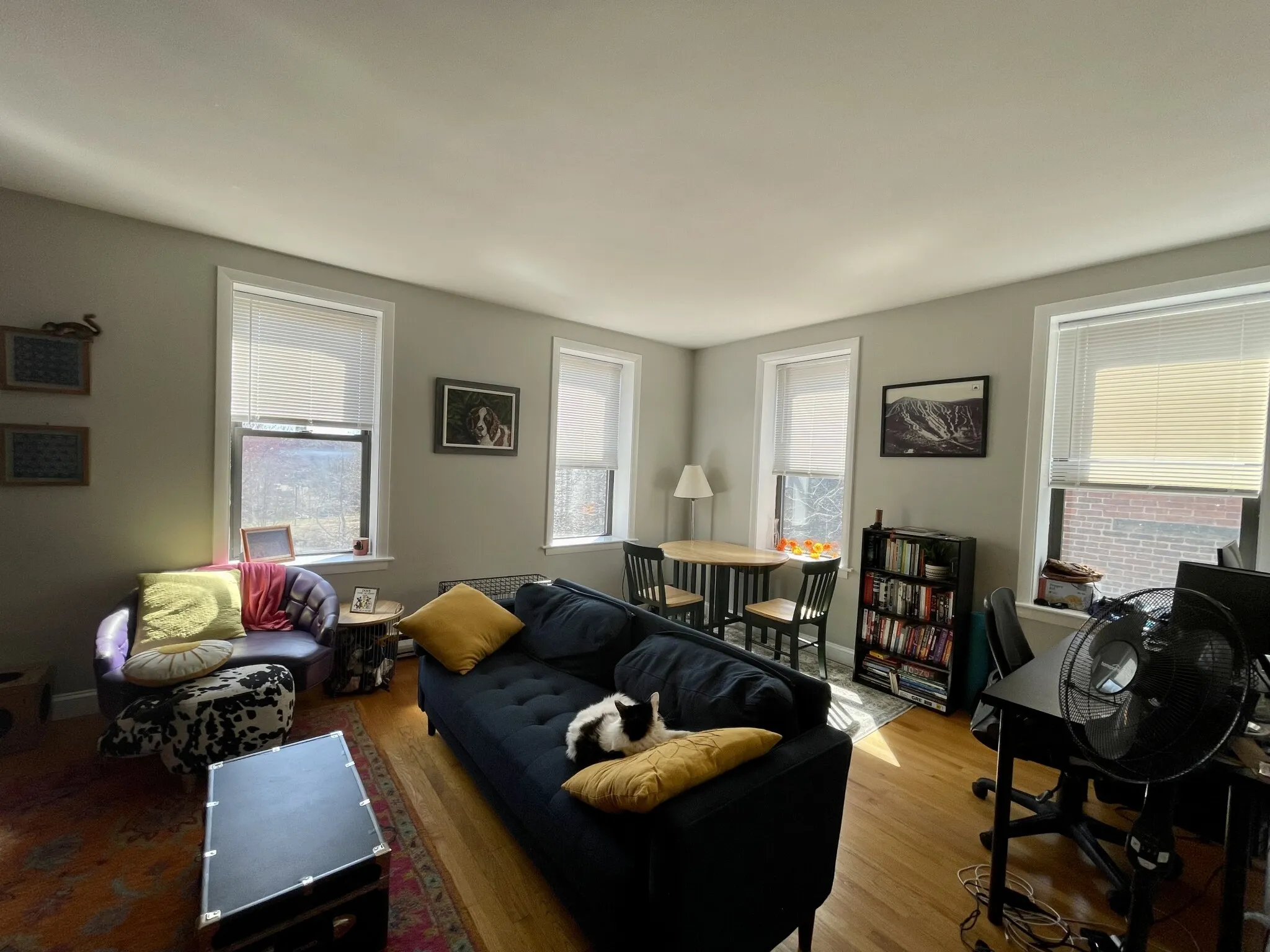 1 bed, 1 bath apartment for rent at 90 Saint Botolph St Unit 9, Back Bay — photo 2 of 5